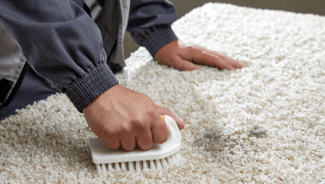 Professional Rug Cleaning Aspendale Gardens